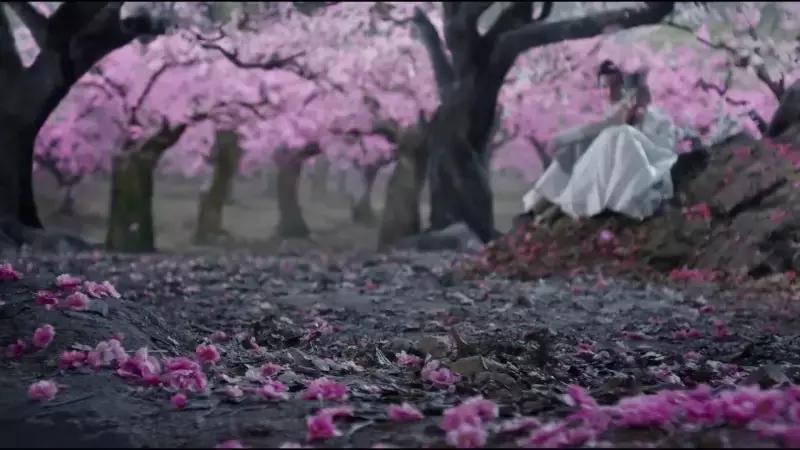 这些人请留步，嘉哥邀你免费畅游乐华城！