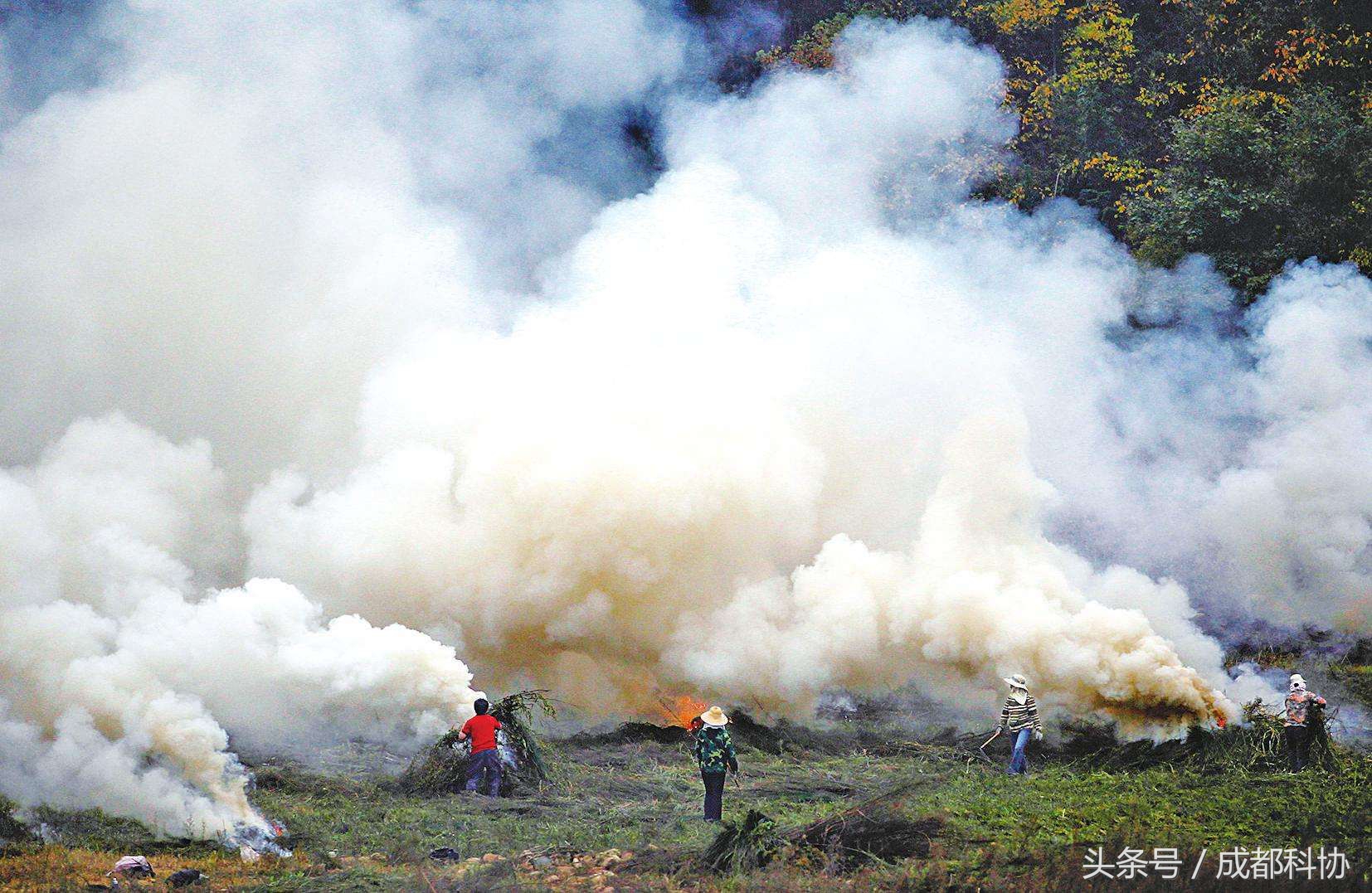 空气污染的影响和危害,空气污染会造成什么危害
