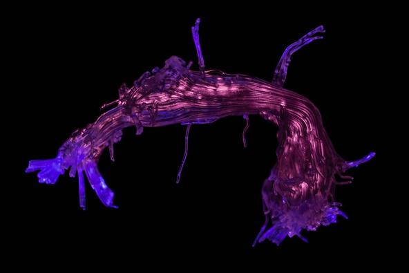 最美的科学图片大全,100个经典科学视觉图