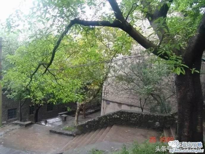 三民街的石板路，名校往事，老政府大院的1924，看徐州这条路