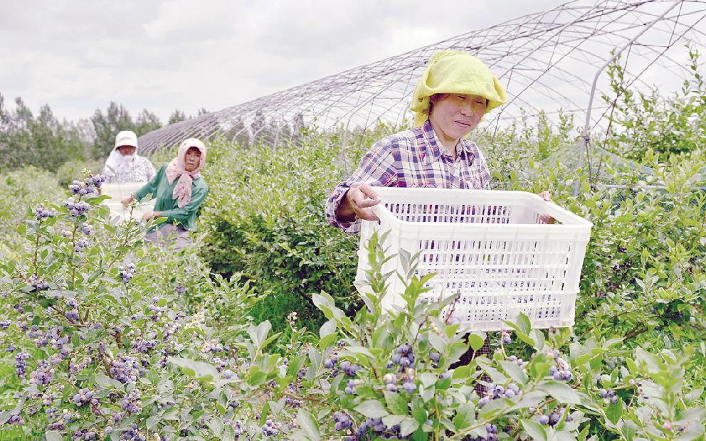 农村产权改革开花结果 (农村产权制度改革惠及民生)