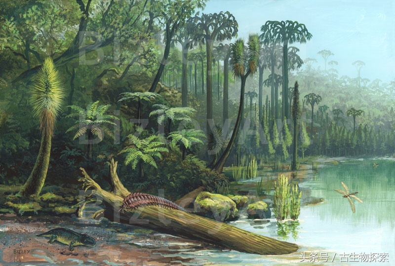 史前蜈蚣的图片加介绍,史前蜈蚣体长可达3米