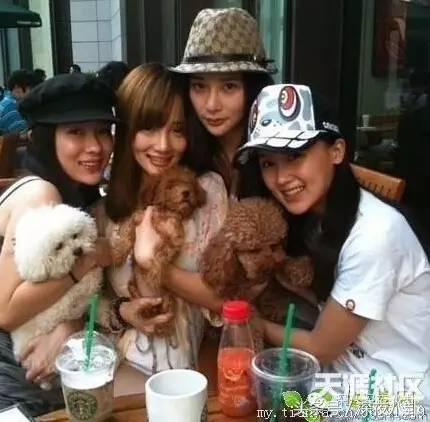 互撕互怒互踩！娱乐圈真是个名利场，真假万年闺蜜情女星篇