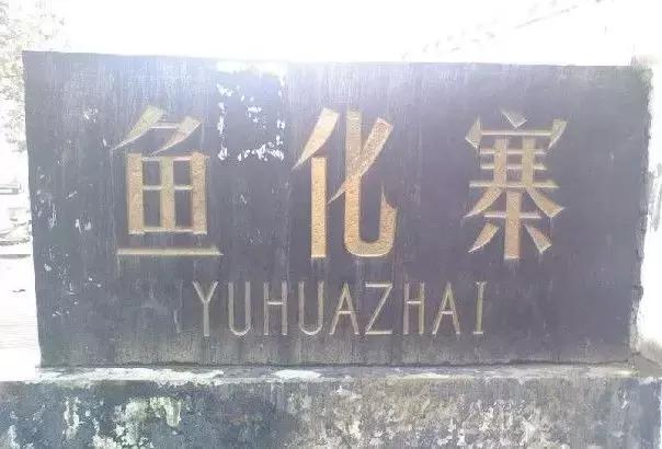 每一个与鱼化寨国际有染的人，都曾对这个小香港有难以言表的热情