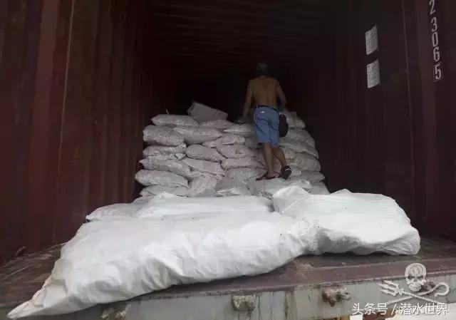 禁令之下，鱼翅照运？