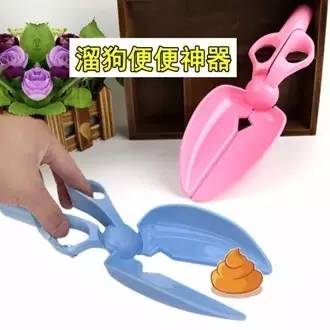 小区很多野狗,小区到处都是狗粑粑谁来管