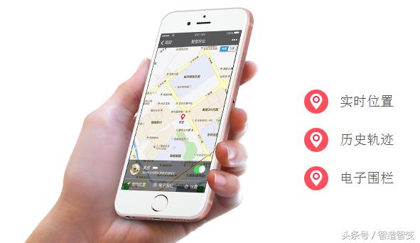 一只猫一套房子值钱吗,一只猫一套房子值多少钱