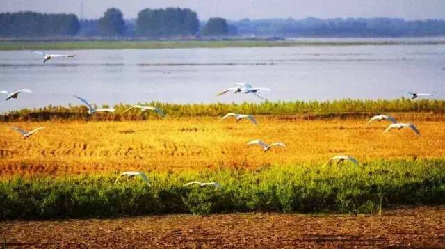 郑州城市发展见证,一图看懂郑州城市发展