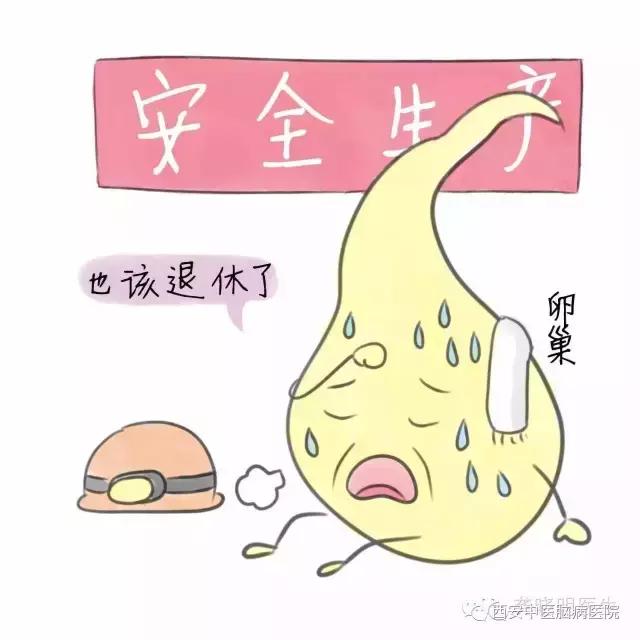 著名女中医养生行家,中医行家告诉你怎么做