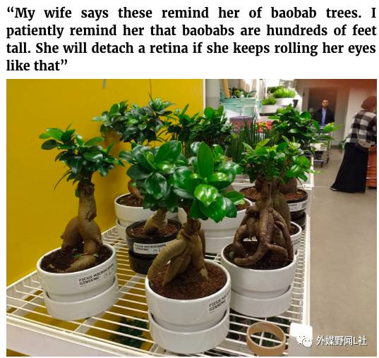 啥都有了还想逛？你家有没有一个酷爱在宜家乱买东西的女人？