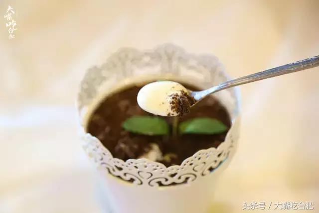 思聪都要排断腿！火爆全球的澳洲网红甜点终于抵达合肥！