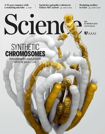 桌边社20170309：《我的闺密是总统》大结局