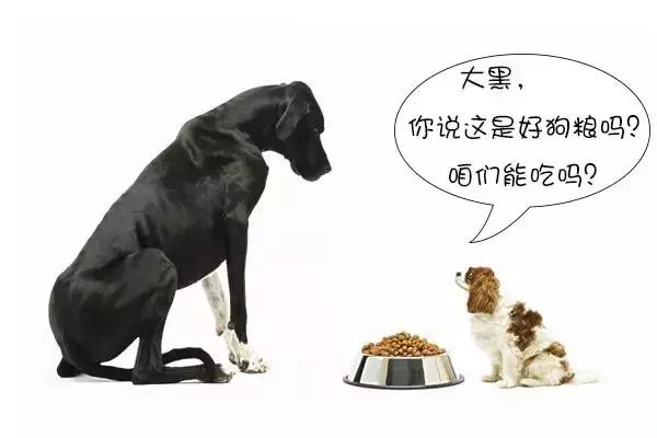 劣质狗粮会导致狗狗发臭吗,便宜的狗粮有什么危害