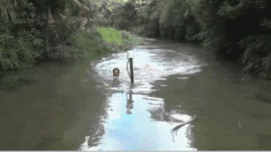 密集恐惧症不小心看到了怎么办,密集恐惧症的最可怕瞬间