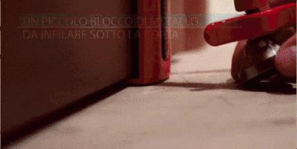 女王陛下，老臣给您备了一些防身好物