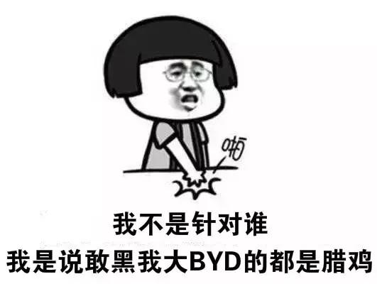 深八中国汽车界三大神秘组织之：迪粉