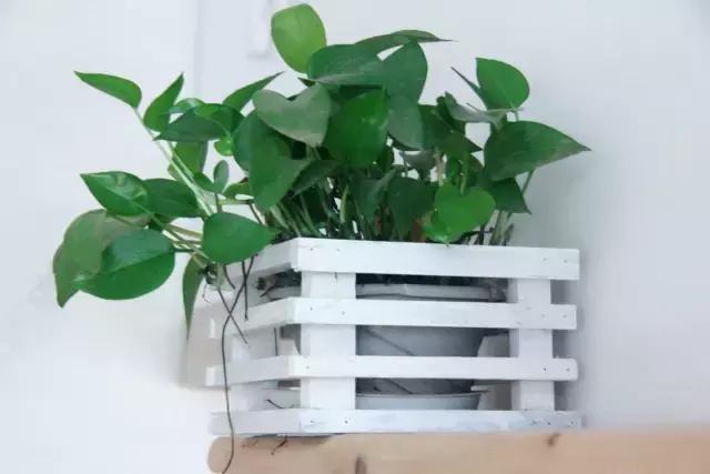 创意手工花盆旧物利用长方形,带把手茶壶旧物改造为花盆