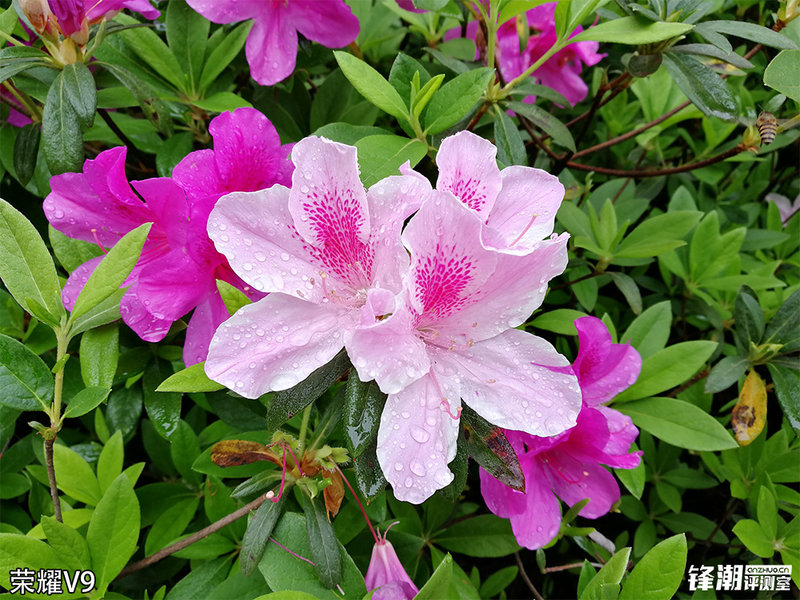 一加3t和荣耀v9哪个好,荣耀v9和一加3t评测视频