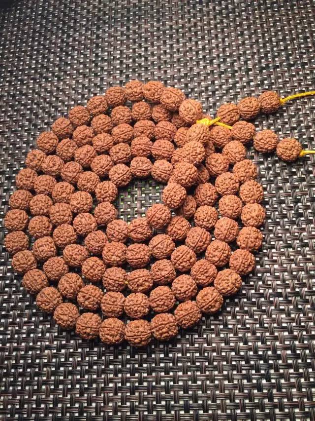 金刚圈子里混三年，这些品种都够呛能认全！