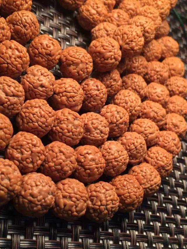 金刚圈子里混三年，这些品种都够呛能认全！