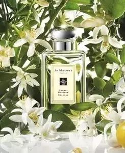 合适秋冬的森系香水推荐,春夏大牌香水推荐哪款