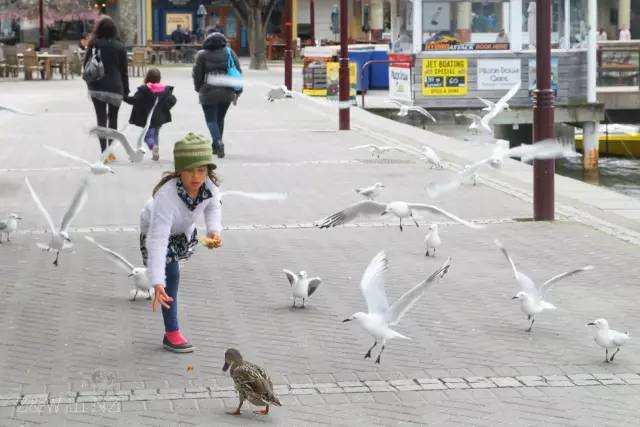 去新西兰绝对不要错过皇后镇,新西兰皇后镇自由行注意事项