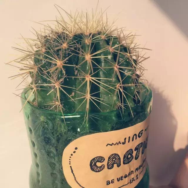 创意手工花盆旧物利用长方形,带把手茶壶旧物改造为花盆