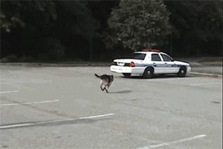 新娘：等我玩完这把联盟在和你结婚