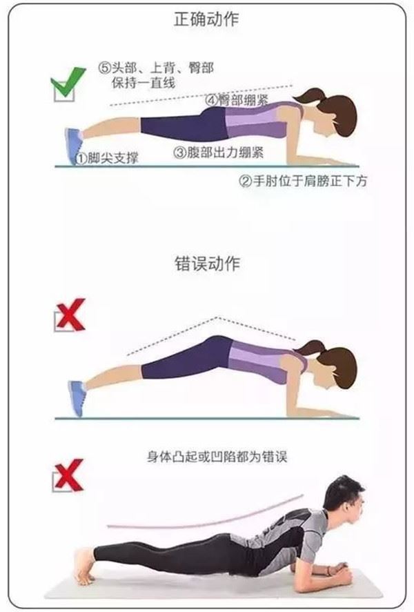 半个月平板支撑能够练出来马甲线,平板支撑一天多久能锻炼马甲线