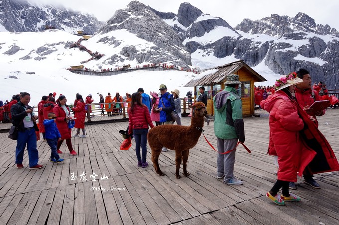 彩云以南，我们终于出发の我带着你，你带着钱！