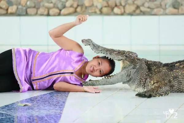 春节出境游泰国,中国驻泰国大使馆注意事项