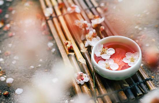 一口鲜澈的桃花醉，仿佛春色就在唇边