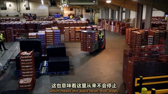 刷完BBC“探班”面包工厂，我好像懂得了红炉磨坊倒下的真正原因