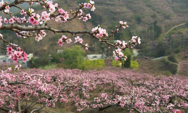 春暖花开踏青正当时完全版,春暖花开踏青季攻略