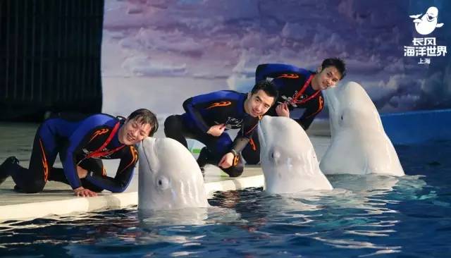 2018上海三八节景点有哪些,上海三八妇女节哪个公园免门票