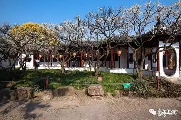 2018上海三八节景点有哪些,上海三八妇女节哪个公园免门票