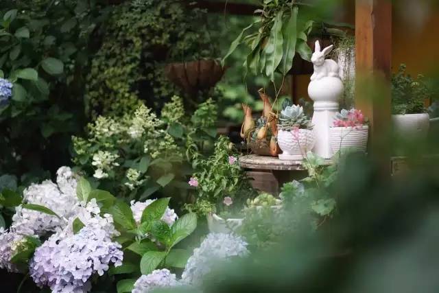 一定要带别人女朋友去的5大民宿,合适跟女朋友去的民宿