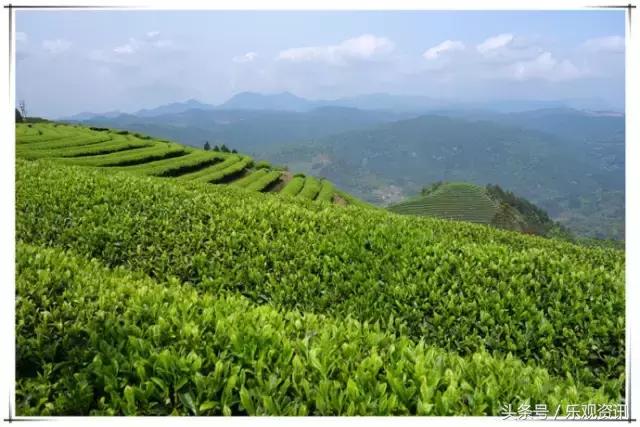 福州特产伴手礼哪里有卖的,福州有哪些能够送礼的干货特产