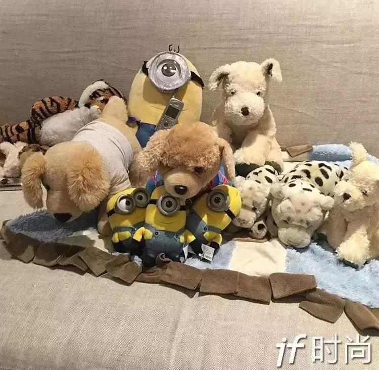 白百何陈伟霆合作的作品,白百何和陈伟霆