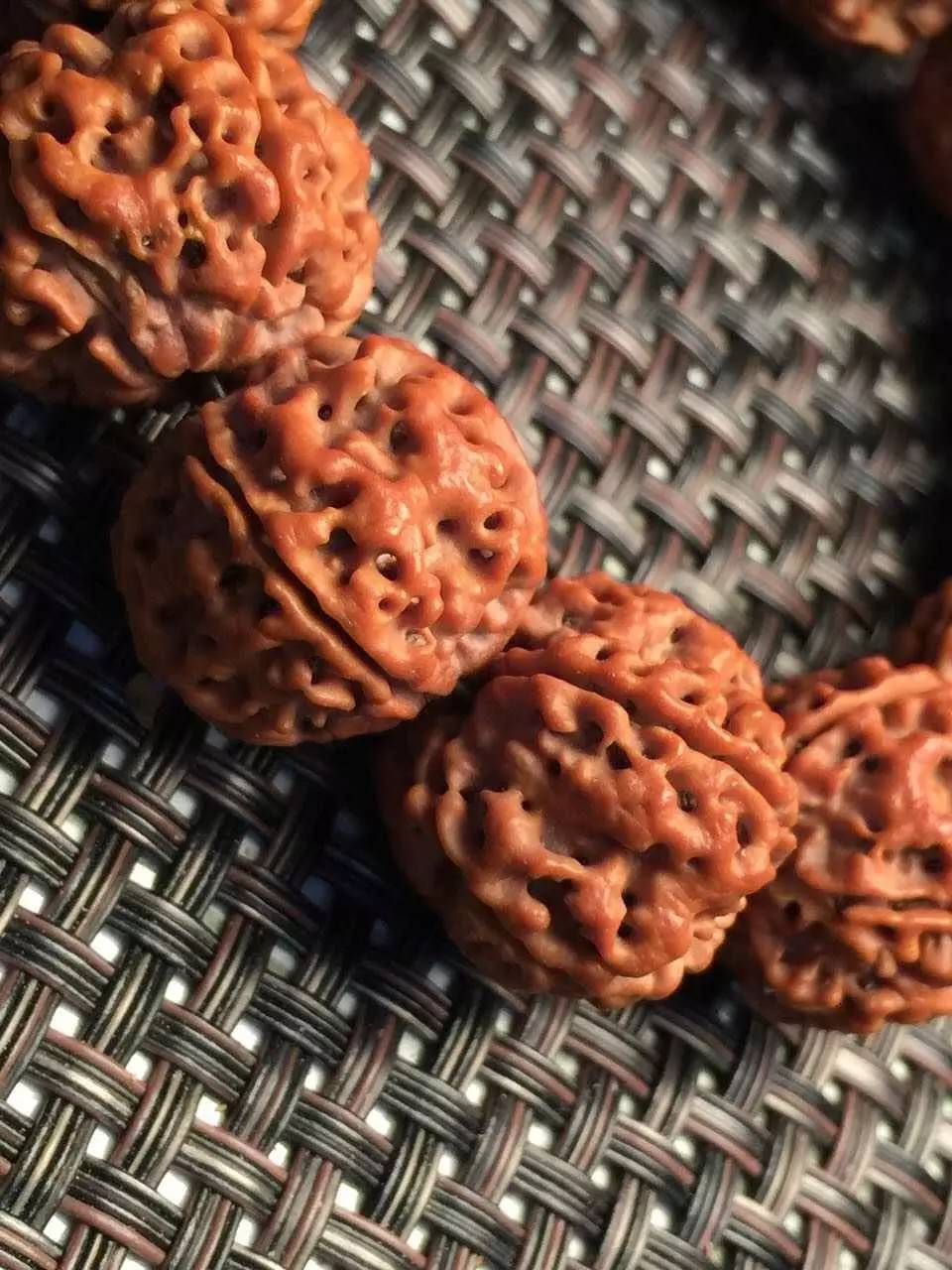 金刚圈子里混三年，这些品种都够呛能认全！