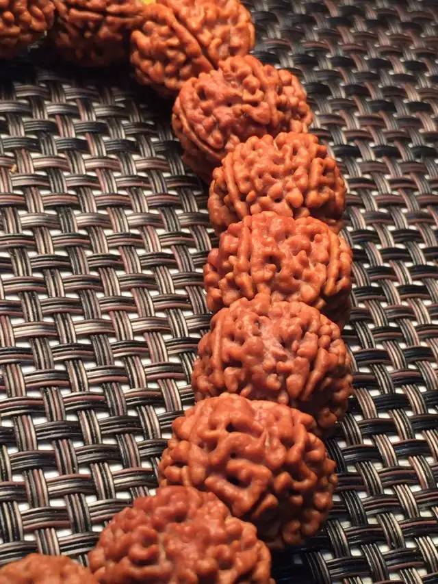 金刚圈子里混三年，这些品种都够呛能认全！