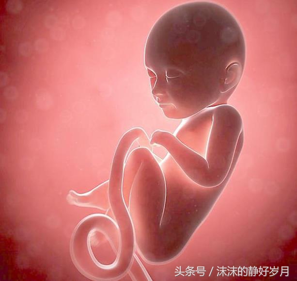 亲爱的宝宝请不要焦虑,4个月的胎宝宝会脐带绕颈吗