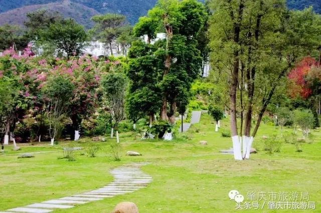 肇庆最好的学院有哪几个,肇庆市最美学校