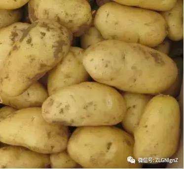 在餐桌上烹饪的菜,在餐桌上的菜