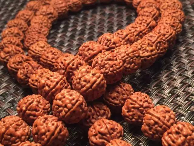 金刚圈子里混三年，这些品种都够呛能认全！