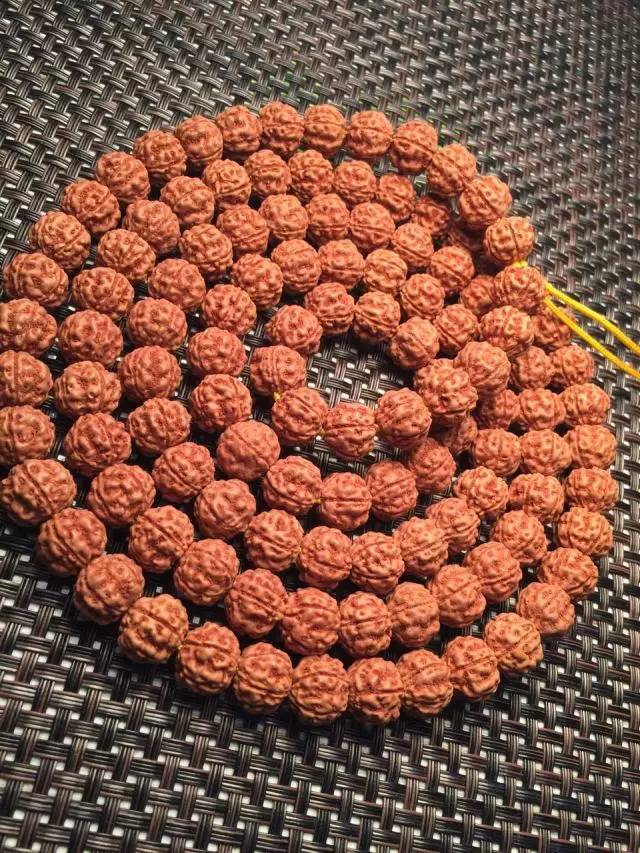 金刚圈子里混三年，这些品种都够呛能认全！