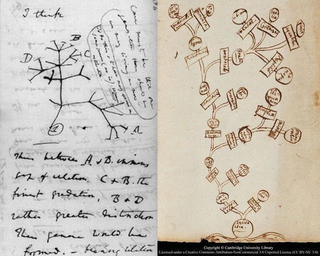 以假期为题思维导图手绘,思维导图漂亮的框架手绘