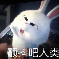 推个好片：超过小黄人，胜过《疯狂动物城》的萌宠大电影