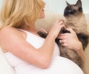 怀孕前几个月容易流产怎么处理,怀孕前两个月怎么会流产