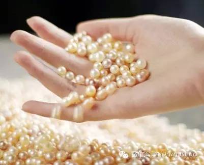 淡水珍珠品质好的和差的区别,天然淡水珍珠值得买吗